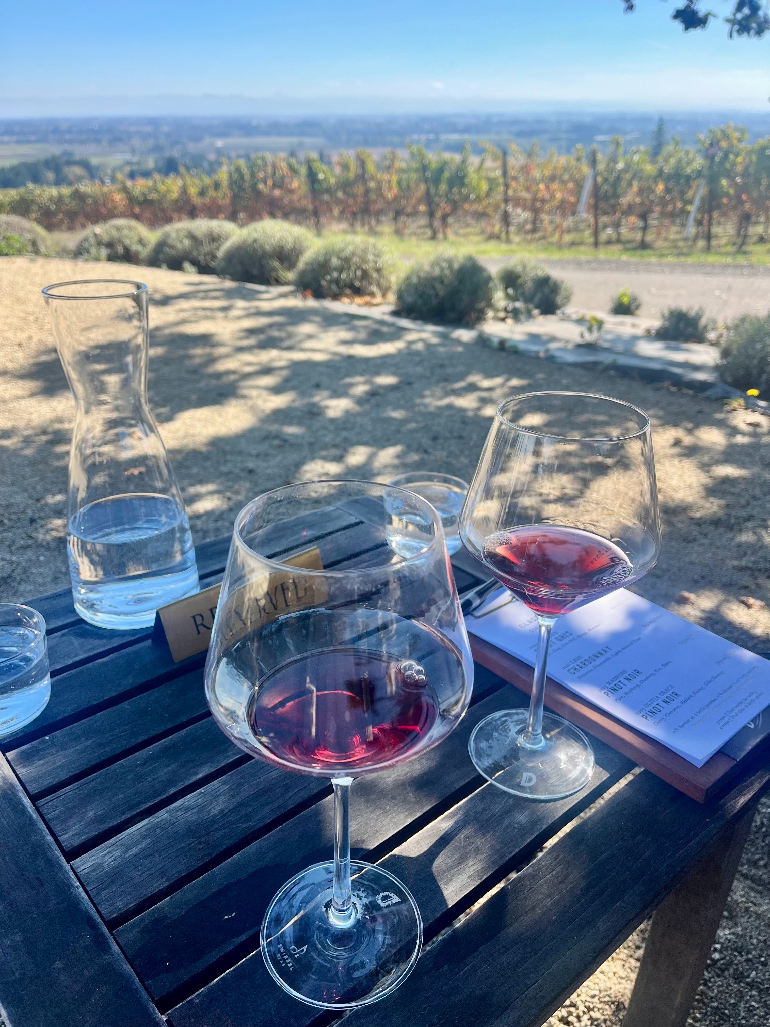Two glasses of red wine overlooking the vineyards at Durant