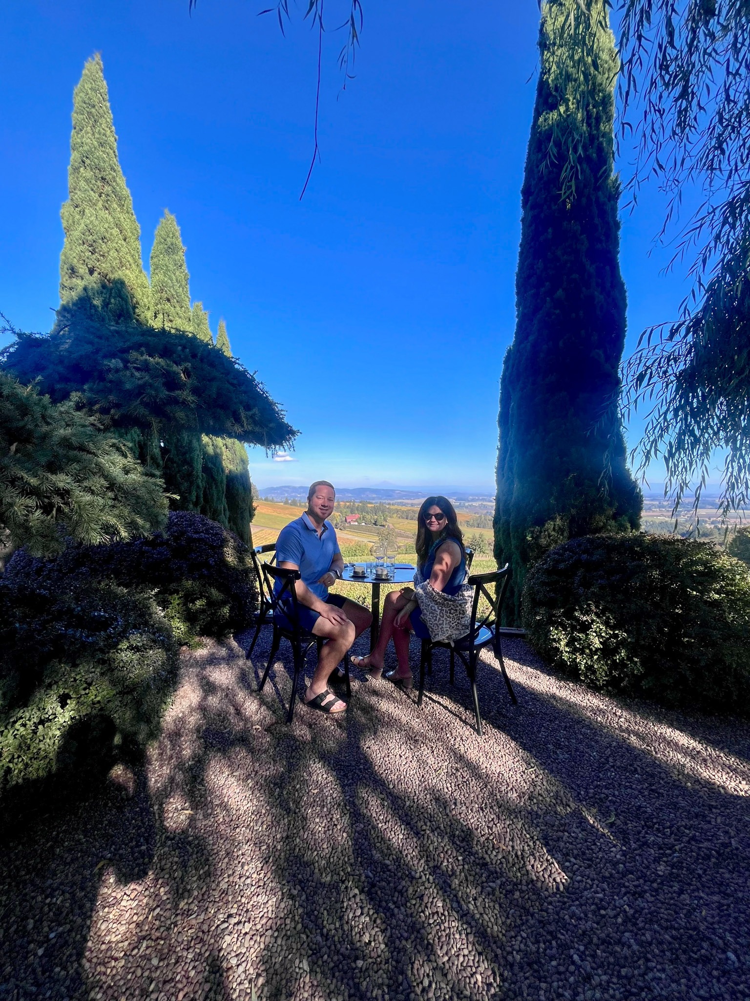 Our outdoor tasting table between tall evergreen trees overlooking the vineyards at White Rose Estate
