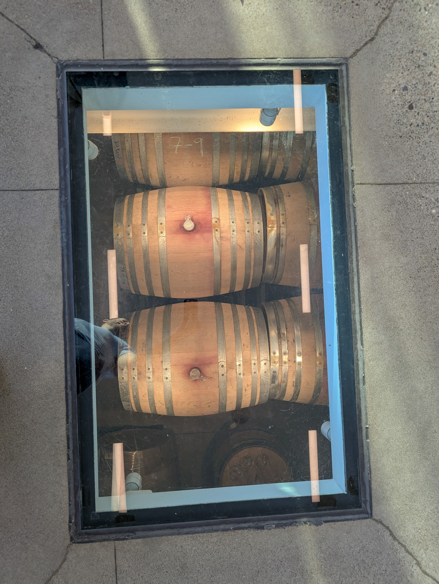 Wine barrels visible through a glass panel in the floor at Furioso Vineyards